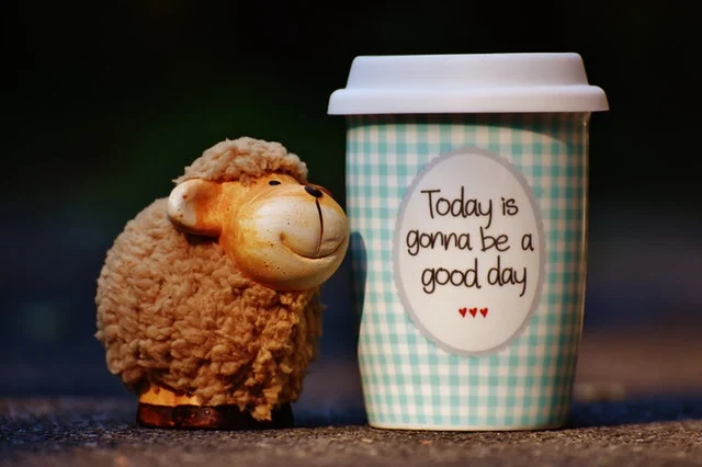 Today is going to be good